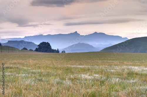 MOUNTAIN PASTURE, drakensberg foothills, kwazulu natal, south africa