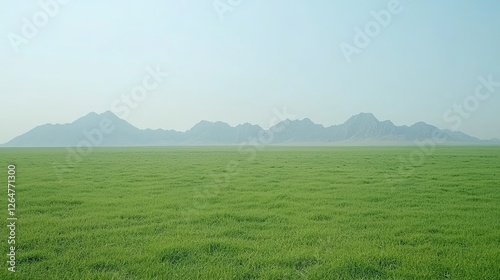 Expansive green field with distant mountains under a clear sky, evoking tranquility and nature
