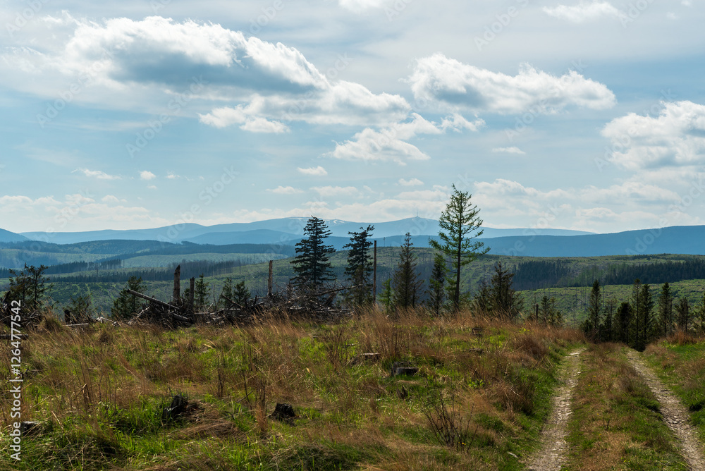 Obraz premium Hruby Jesenik with highest Praded hill from Solna hora hill in Zlatohorska vrchovina mountains in Czech republic