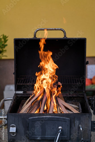 barbecue on the grill