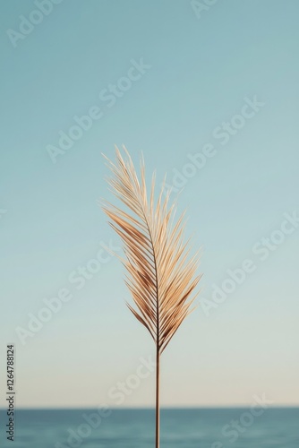 Delicate grass sways gently against serene blue sky, evoking tra photo