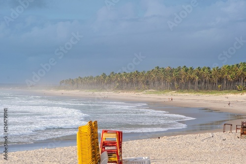 Fototapeta Naklejka Na Ścianę i Meble -  Serene tropical beach with palm trees and gentle waves.