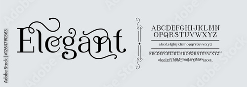 Serif font, elegant typography isolated letters. Script logo, vintage letter with beauty typeface. Classic creative ligature for wedding sign. ABC symbols English. Vector exact calligraphic set