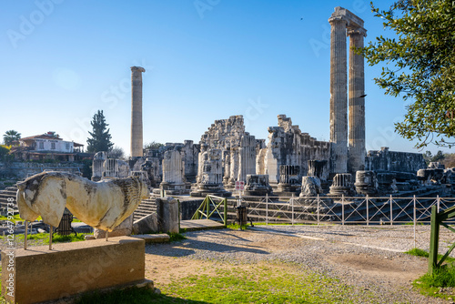 The ruins of Didyma are located a short distance to the northwest of modern Didim in Aydın Province, Turkey. It sits on a headland that in antiquity formed the Milesian Peninsula. Didyma was the large photo