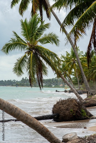 Fototapeta Naklejka Na Ścianę i Meble -  Tropical beach scene with palm trees and waves.