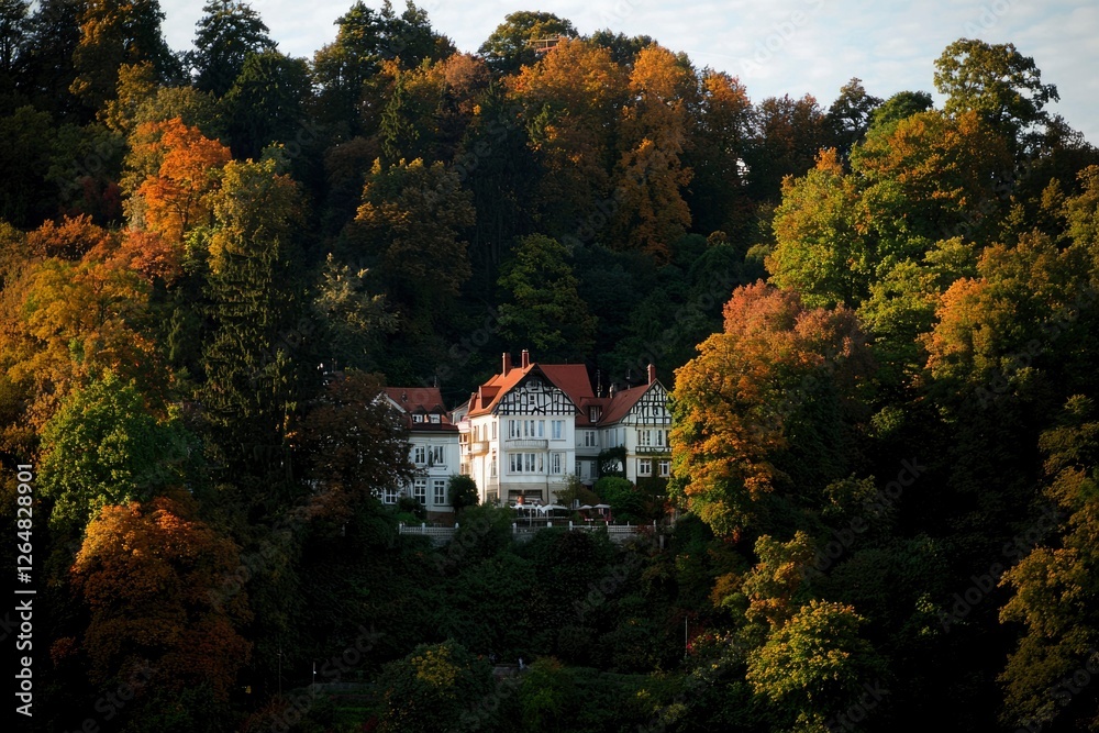 Fototapeta premium Mansion nestled in colorful foliage, autumnal ambiance. Possible vacation rental use