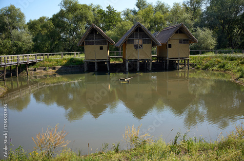 wooden house on the river