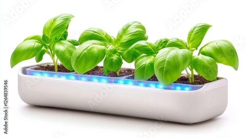 Basil Plant Growing in LED-Equipped Hydroponic System. Generative AI photo