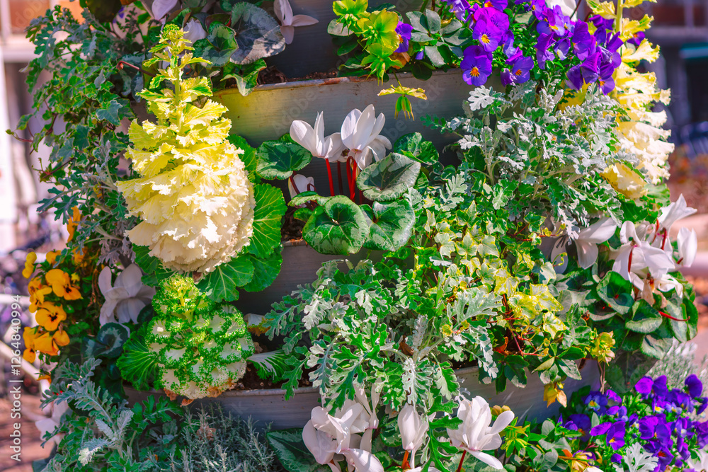 Vertical garden with a variety of plants and flowers, including white cyclamen, purple pansies, yellow pansies, and ornamental cabbage. Appealing due to the diverse colors and textures of the plants