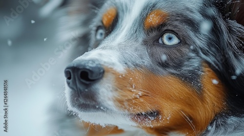 Close-up of a Dog with Blue Eyes in Snowy Landscape. Generative AI photo