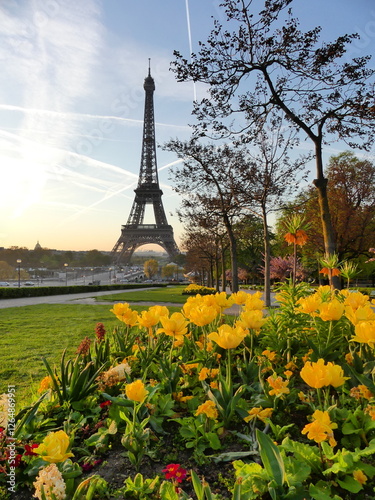 Eiffel Tower Paris Spring yellow flowers garden