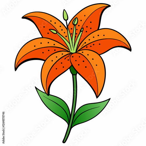orange tiger lily