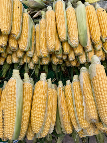 A market stall with fresh bright yellow peeled corn, rustic market setting with arranged corn cobs, view from the top