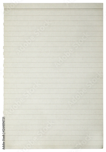 notebook sheet, torn page from a notebook, writing paper texture and background