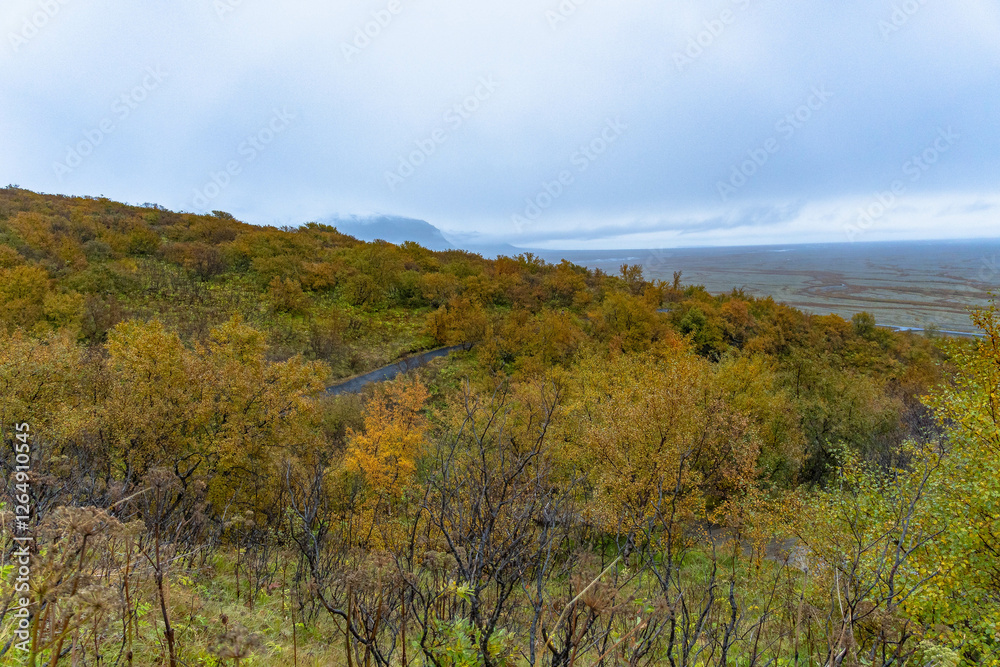 Fototapeta premium Landscape Iceland