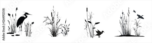 Swamp plants thickets - grass, reed, cane, cattail, sedge and other marsh plants with a bird heron, standing and flying ducks. Monochrome silhouette landscape drawings set isolated on white background