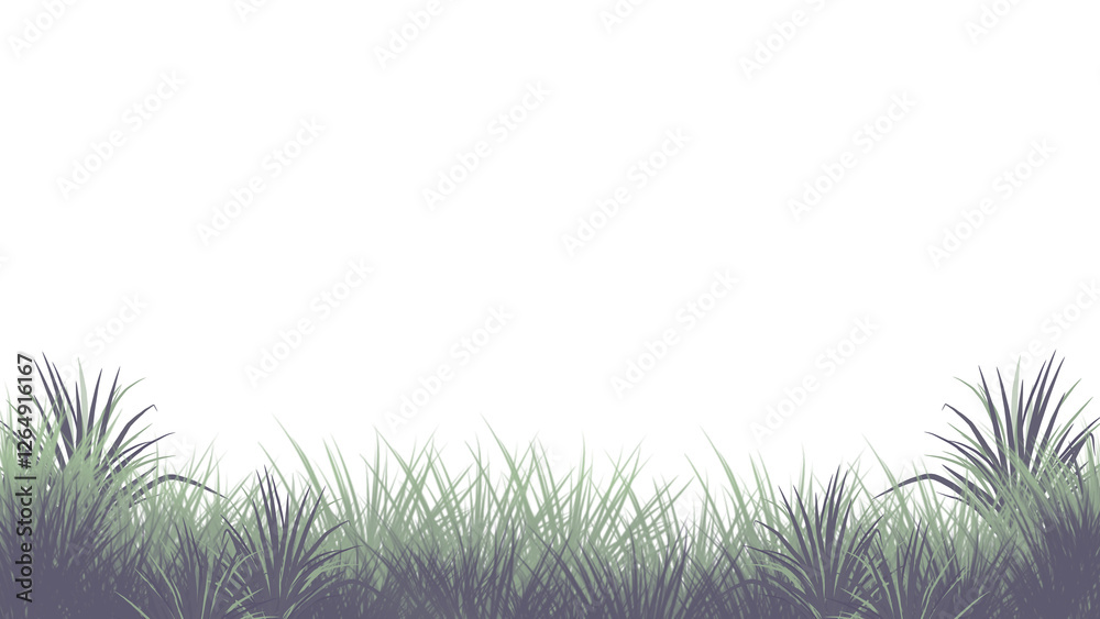 Green grass is isolated on a transparent background. Green grass is isolated on a transparent background.