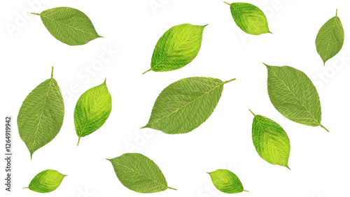 Falling green leaves are isolated on a transparent background.