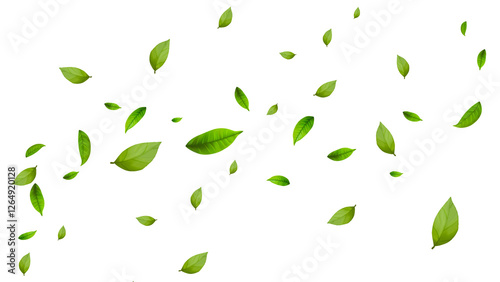 Wallpaper Mural Falling green leaves are isolated on a transparent background. Torontodigital.ca