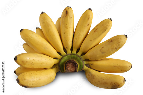 banana studio shot on white background. bananas health-giving, thanksgiving