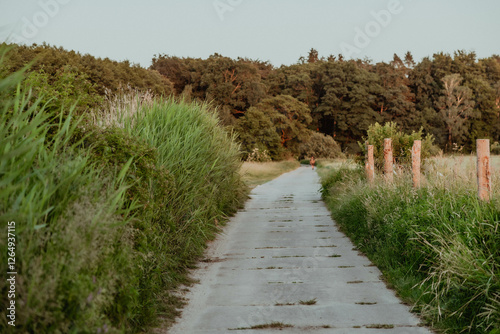Fototapeta kuchenna natura