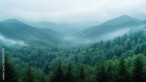 Lush green forest covers misty mountains during early morning in a serene and tranquil landscape