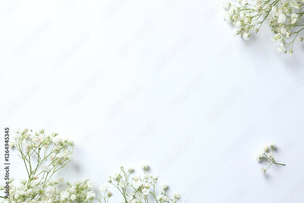 Obraz premium Top view photo with gypsophila flowers on white background 