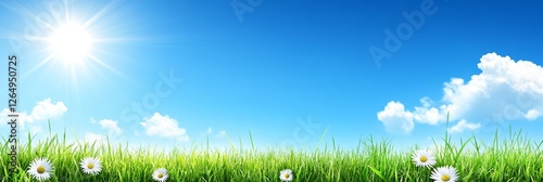Sun-Drenched Meadow Vibrant Landscape of Lush Grass and Blooming Daisies under Clear Blue Skies