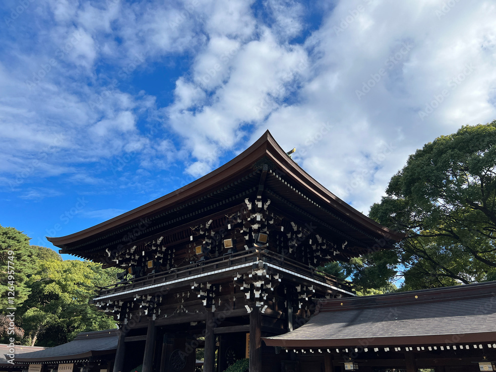 Meiji Jingu Shinto shrine in Shibuya, Tokyo