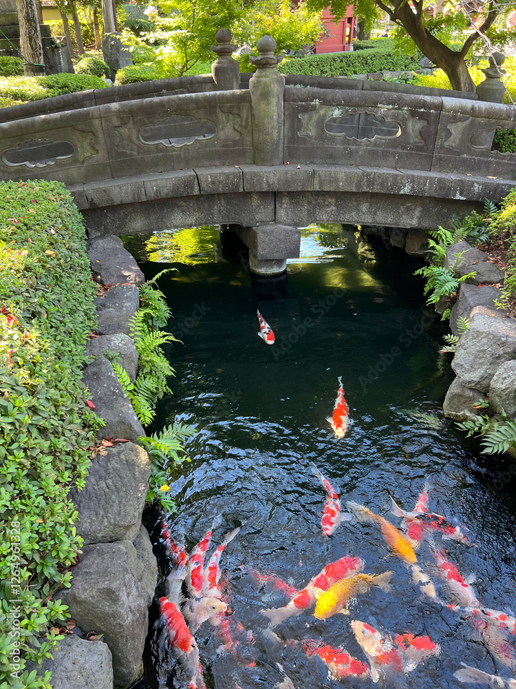 Golden carp at Sensō-ji ancient Buddhist temple