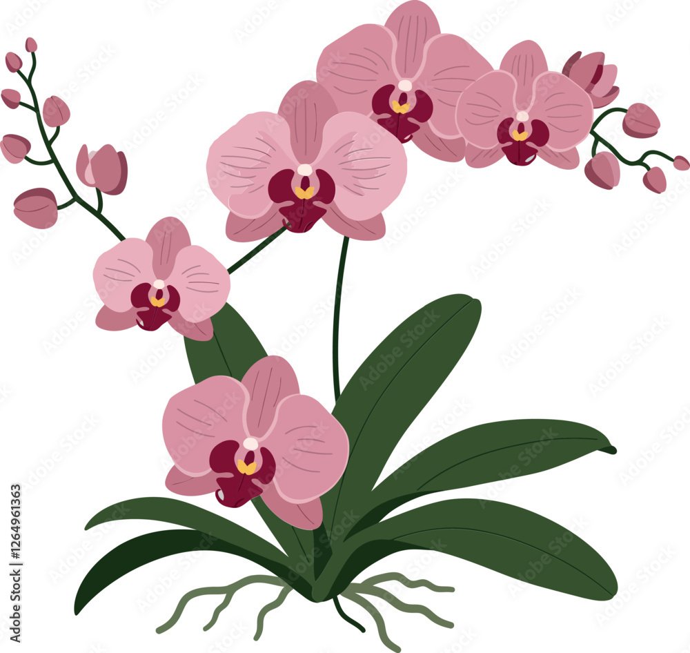 Pink orchid flowers in a detailed flat design vector illustration Pink orchid flowers in a detailed flat design vector illustration