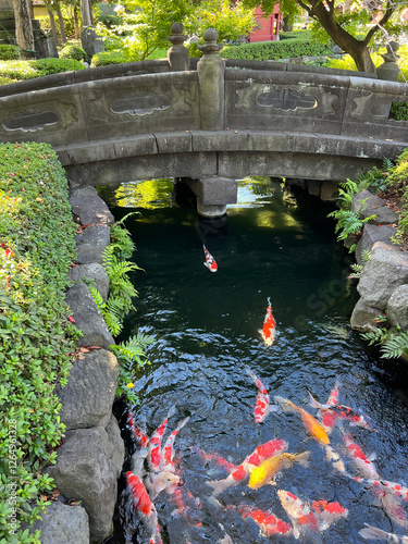Obraz na płótnie Golden carp at Sensō-ji ancient Buddhist temple w salonie