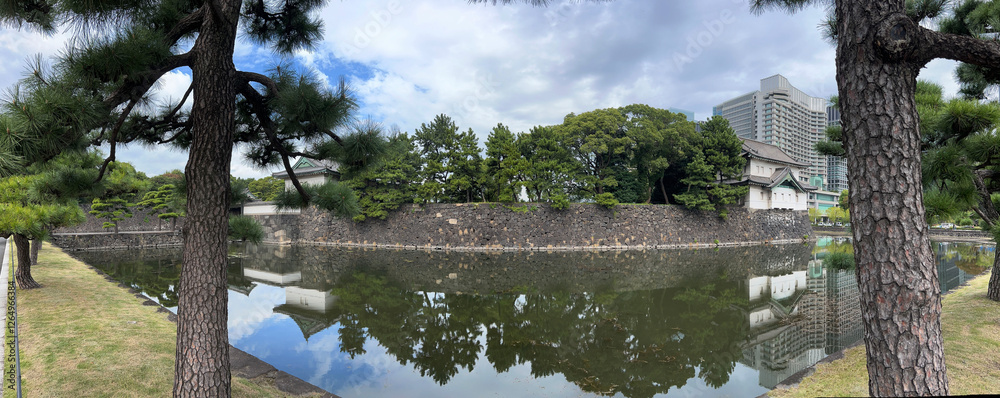 Panorama from the Imperial Palace in Tokyo
