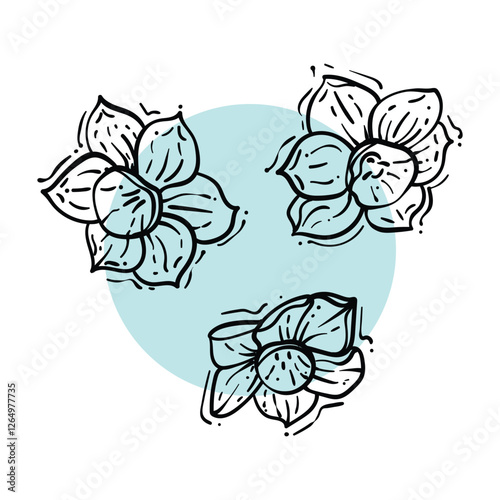 Hand drawn of three narcissi with petals and details. Line art spring flower illustration. Doodle of a flower in a blue poster design. Ready to be used in print and online projects. 