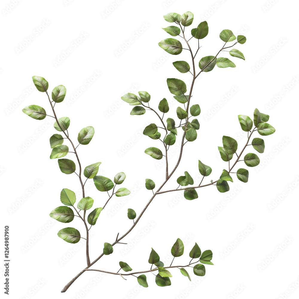 Obraz premium Green Branch Isolated on Black Background
