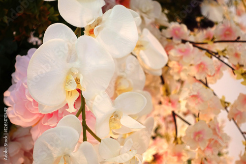 Flowers on white background,Wedding flowers that decorate in the wedding,Wedding bouquet
,White and pink flowers for decoration