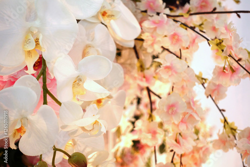 Flowers on white background,Wedding flowers that decorate in the wedding,Wedding bouquet
,White and pink flowers for decoration