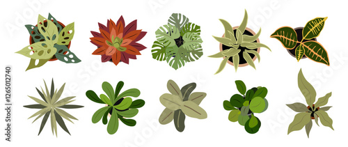 Set of different house plants top view. Potted flowers colorful icons for landscape, architectural, interior design. Hand drawn Vector flat illustrations isolated on transparent background.