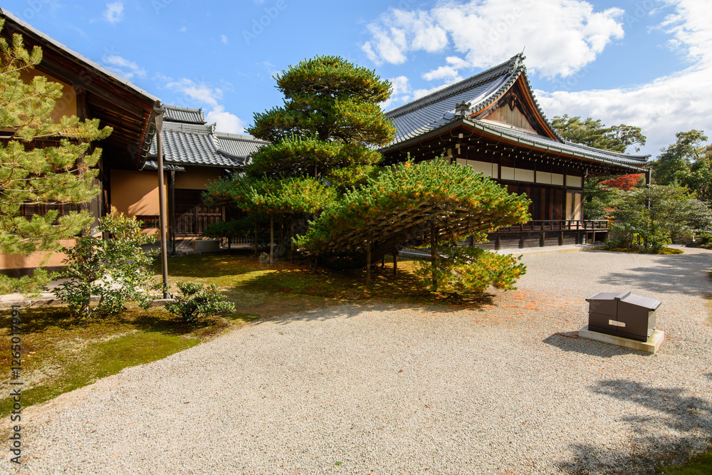 Old Japanese Tokugawa Shogun residence of Nijo castle in Kyoto city, Japan Old Japanese Tokugawa Shogun residence of Nijo castle in Kyoto city, Japan