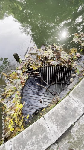 waterways drainage and dry leaves