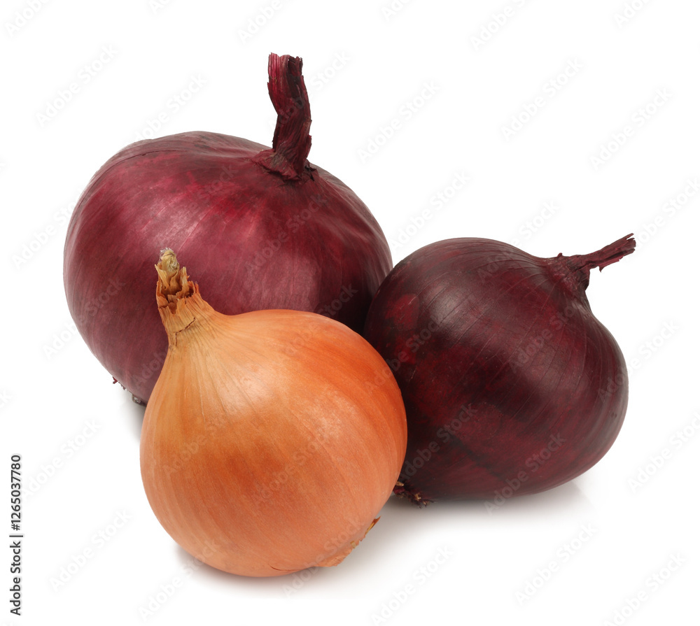 onions isolated on white background onions isolated on white background