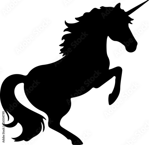 black horse vector illustration