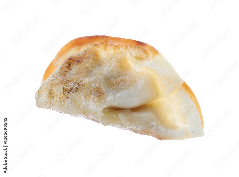 One fried gyoza dumpling isolated on white One fried gyoza dumpling isolated on white