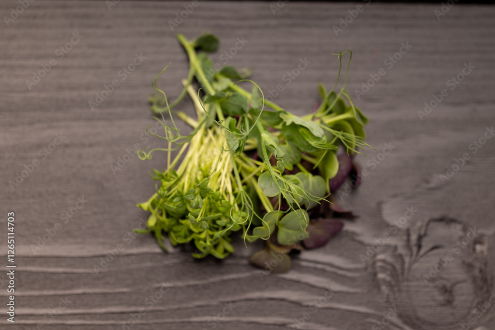 A bunch of green microgreens with thin stems on a grey background. A bunch of green microgreens with thin stems on a grey background.
