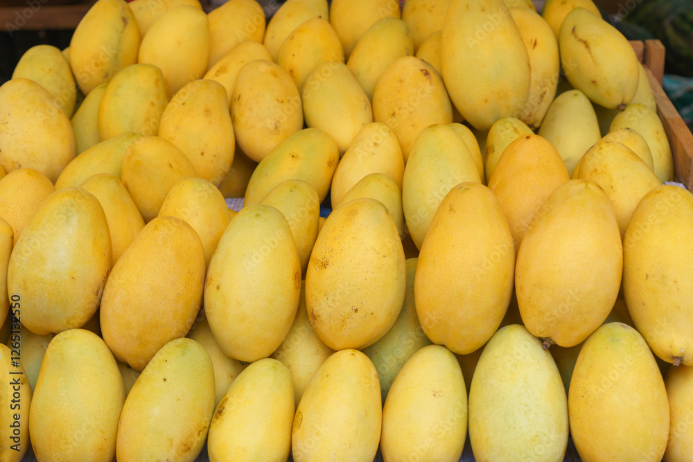 Ripe Golden Mangoes on Display Ripe Golden Mangoes on Display