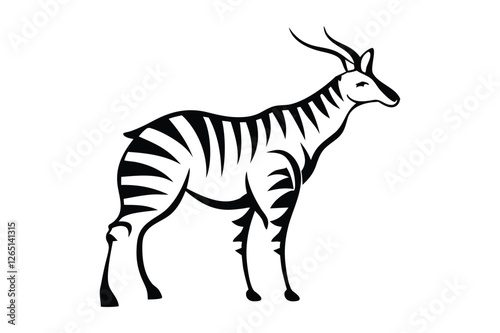 zebra isolated on a white background