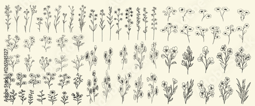 Minimalist botanical floral branch hand drawn with trendy greenery set for modern branding, stylized black line art of forget-me-nots for wedding stationery, elegant floral designs, wedding decor.