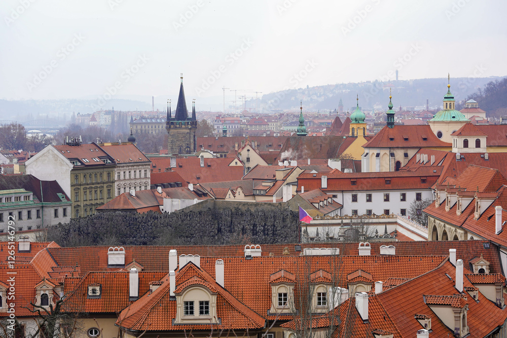 Obraz premium A cityscape with red-tiled rooftops, historic buildings, and church spires under an overcast sky
