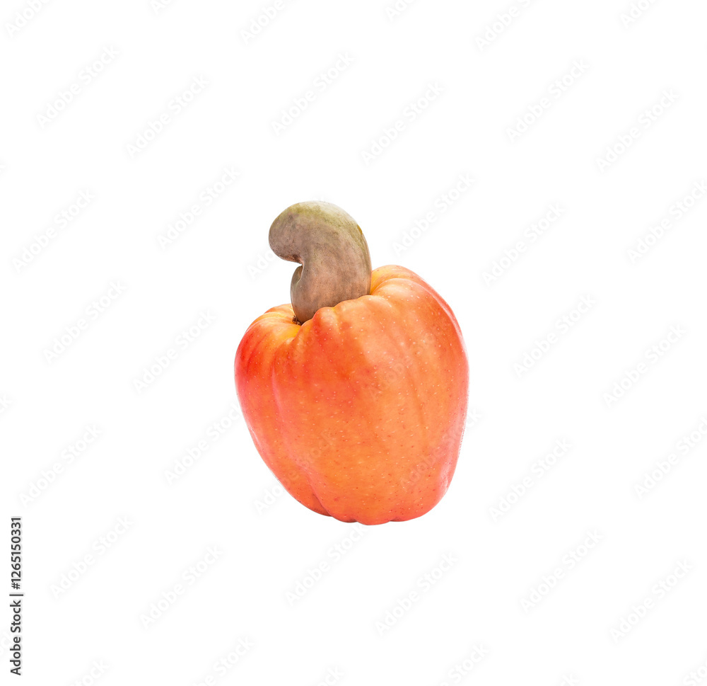 Fresh ripe cashew fruits isolated on transparen png. Fresh ripe cashew fruits isolated on transparen png.