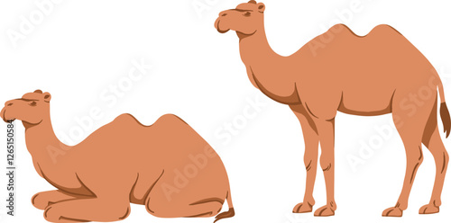 Arabian camel, desert domestic bedoin animal decorated with textile saddle. Arabic mammal profile, standing with traditional fabric decor on hump. Flat vector illustration isolated on white background